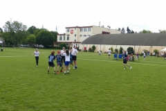 Lufos 2 gegen Albatros (III)