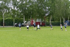 Lufos 1 gegen Disckick 2 (II)