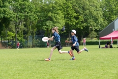 Catch the Disk (I)